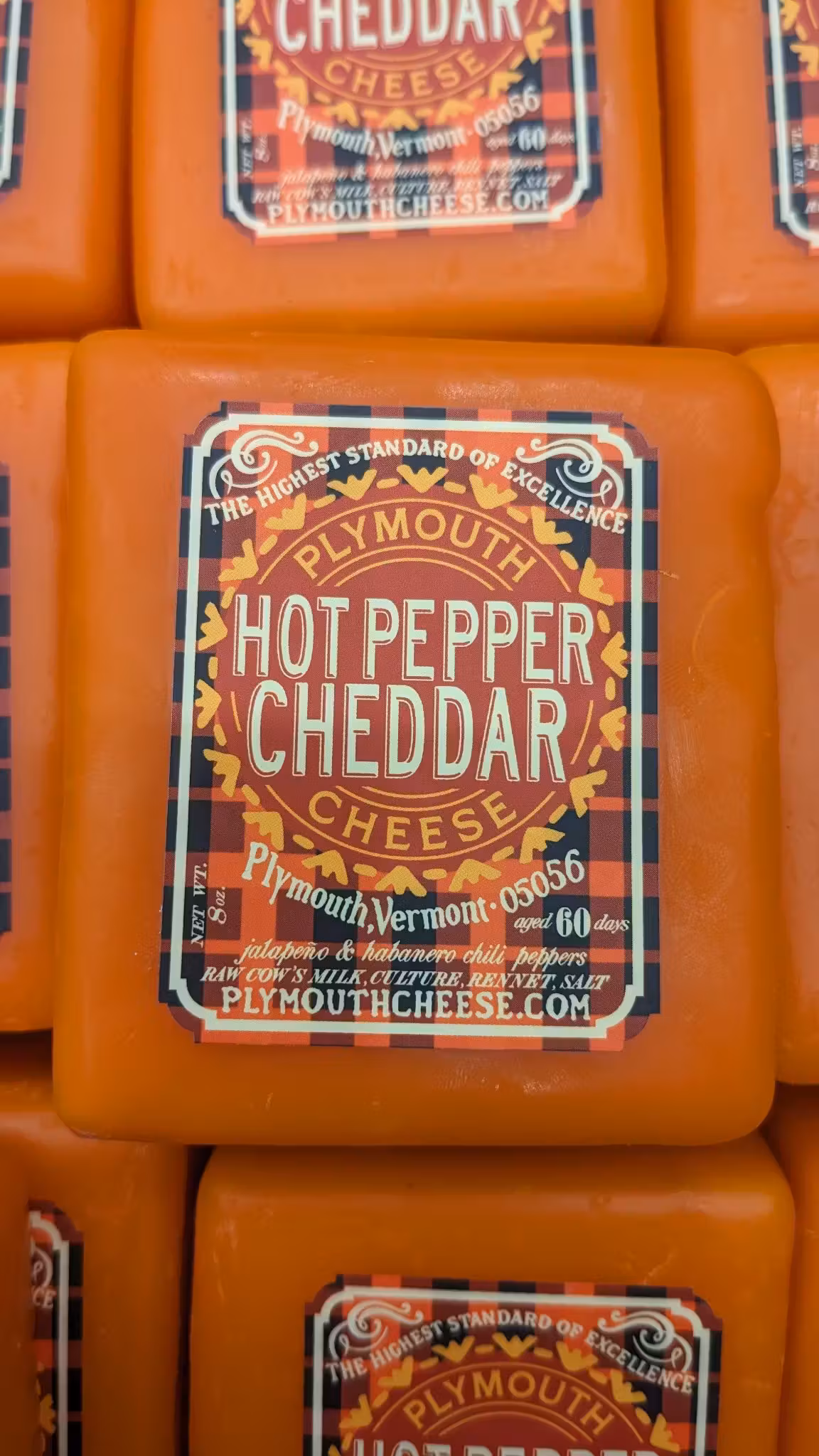Cheese